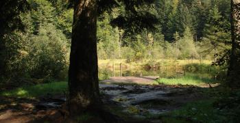 Украина. Карпаты. Журавлиное озеро