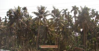 Индия. Гоа. Плантация специй Sahakari (Сахакари)