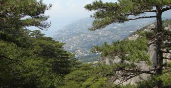 Ущелье Уч-Кош в Ялте. Крым