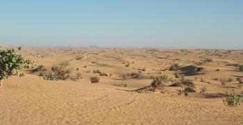 Достопримечательности ОАЭ 2019