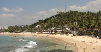 Мирисса. Шри Ланка. остров Цейлон