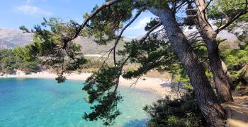 лучшие пляжи черногории