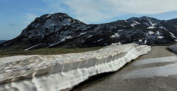 черногория пмж