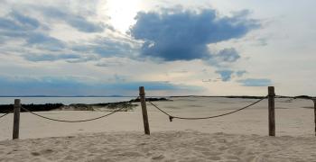 словиньский парк в лебе