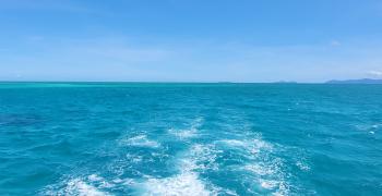 риф 2022. австралия