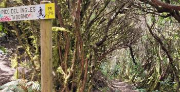 анага парк маршруты. тенерифе. испания