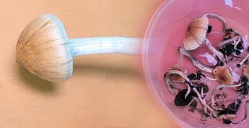 псилоцибиновые грибы