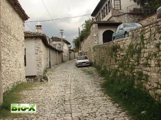 Албания. Берат