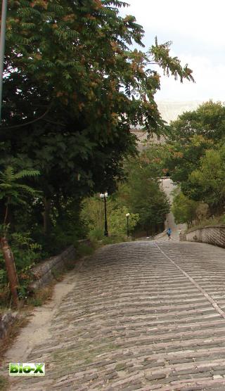 Албания. Гирокастра. Дорога к крепости