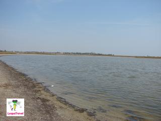 Украина. Бердянск. Лиманы