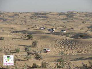Desert Safari в ОАЭ