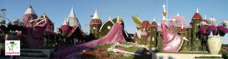 Dubai Miracle Garden. Арабские Эмираты