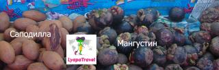Саподила и мангустин. Пхукет. Таиланд
