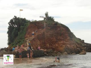 Parrot Rock Bridge