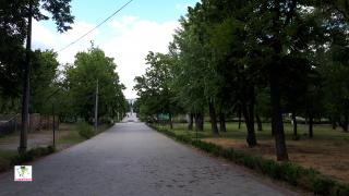 Аллеи в Новокодацком парке. Днепр. Украина