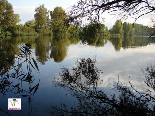 Коса гребного канала. Днепр. Украина