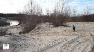 песок карьер в Днепре. Украина