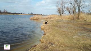 Богородницкая крепость 2
