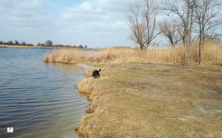 Богородницкая крепость. Днепр. Украина