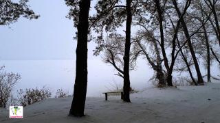 пикник парк приднепровск