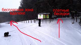 пикник парк приднепровск