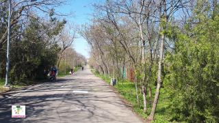 тропа здоровья в одессе
