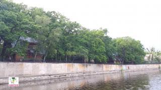дубрава. орловщина. украина