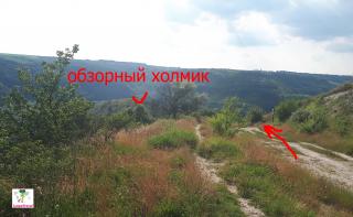 китайгородское отслоение