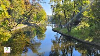 ландшафтный дизайн парка межигорье