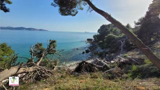 дикий пляж Plaža Ratac FKK
