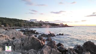 Plaža Žukovica