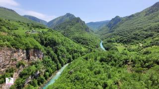 каньон Тара. черногория