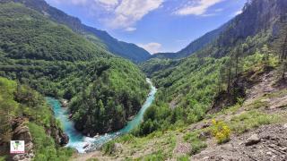 тара. черногория