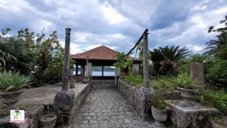 Trsteno (Arboretum) - смотровая площадка в дендрариуме