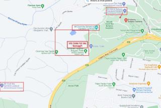 Mt Coot-tha Botanical Gardens Lookout
