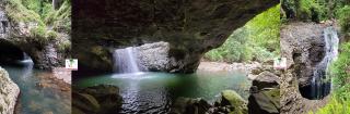 Тропический лес Springbrook и Natural Bridge