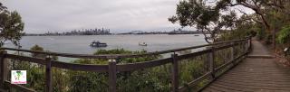 Bradleys Head Walking Track
