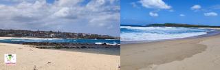 Maroubra Beach