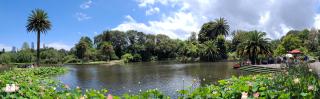 Королевские ботанические сады Мельбурн
