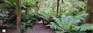 Great Otway National Park