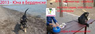 юна бердянск