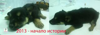 Юна