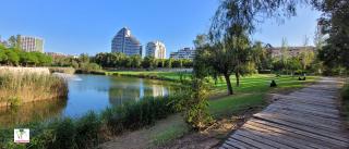 Cabecera Park