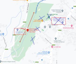 бот сад гран канария. испания