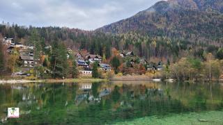 Zelenci Nature Reserve