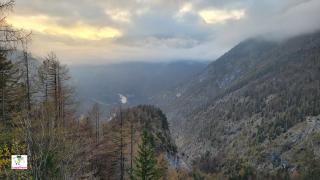 Viewpoint Supca