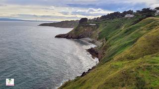 Viewpoint of Cliffs (Photo point)