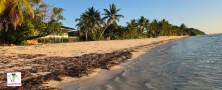пляж Anse Reunion