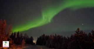 северное сияние Рованиеми. Финляндия