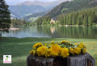 Lago di Dobbiaco